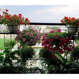 Giỏ sắt treo chậu hoa ban công