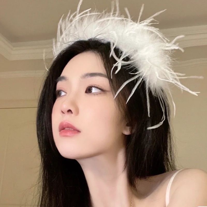 (VIP) Bờm tóc lông đà điểu phối lông vũ mã DT-983