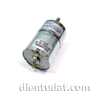 Motor 12V - RPM250 (GB520)