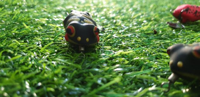 Nhái giả Ninja Frog