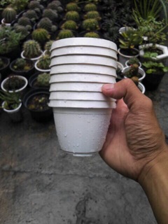 Chậu nhựa tròn treo