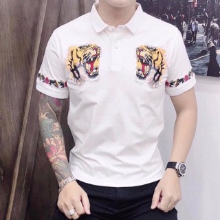 Áo phông nam