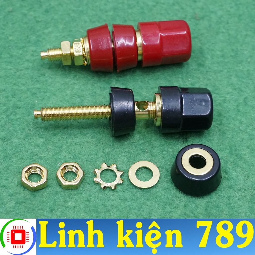 Cọc loa và Amply jack bắp chuối V1