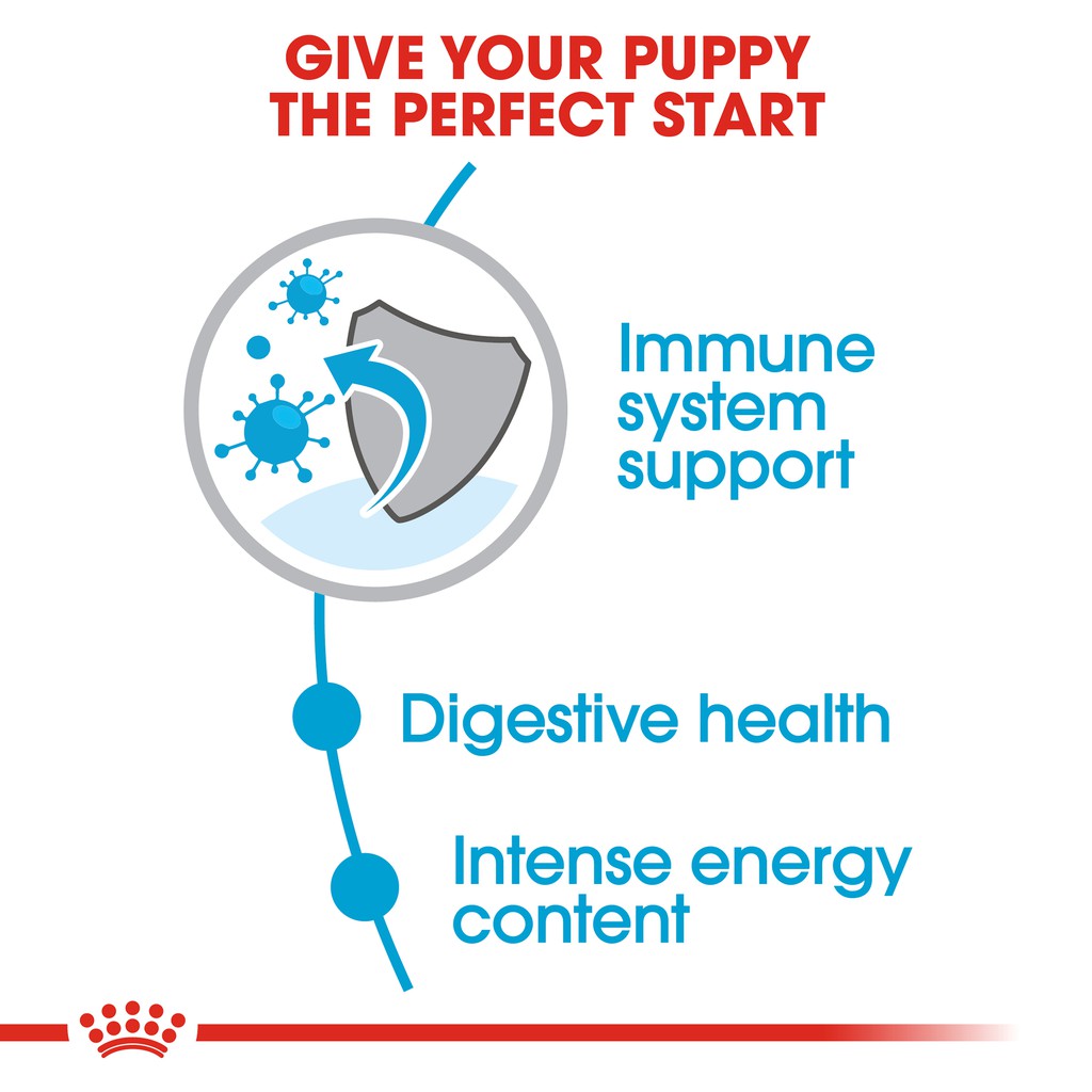 Hạt Cho Chó Con Royal Canin Mini Puppy