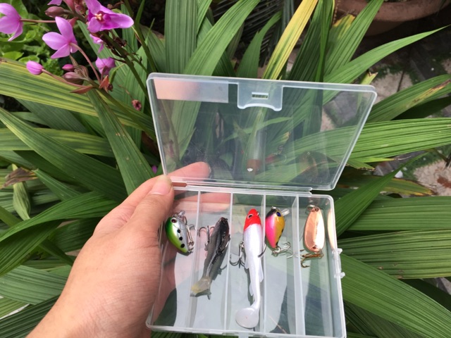 Combo hộp mồi câu lure giá rẻ