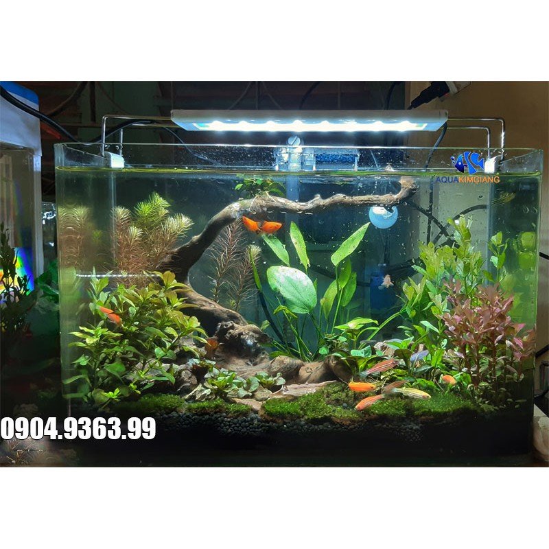Bể cá cảnh mini để bàn - Bể đúc D04