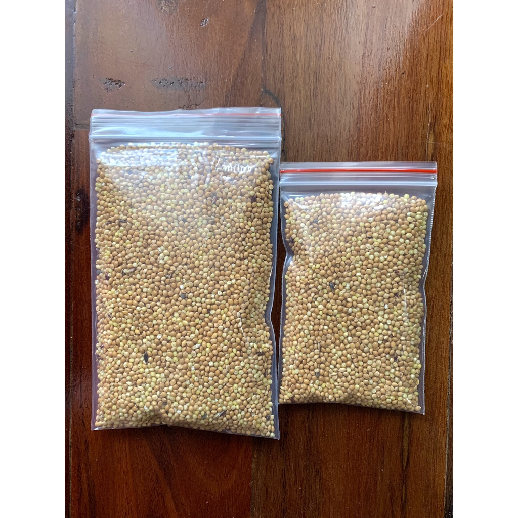 Hạt kê cho Hamster