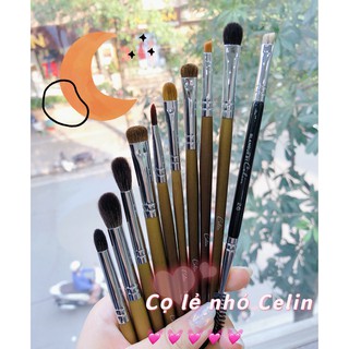 Tổng hợp cọ lẻ mắt nhỏ Celin ẢNH THẬT