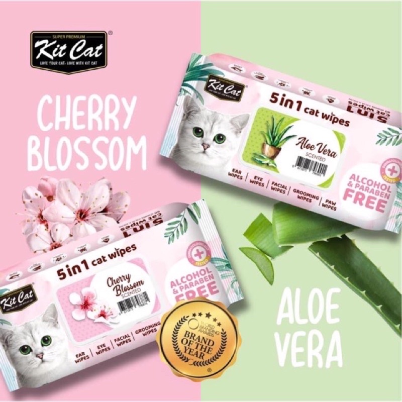 Khăn giấy ướt kháng khuẩn Kit Cat tắm khô cho mèo. Lau mắt, tai cho thú cưng