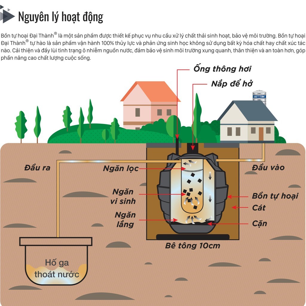 Bồn tự hoại Đại Thành, bảo hành 50 năm
