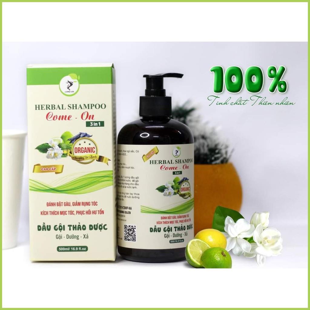 Dầu gội thảo dược cao cấp 3 trong 1, dầu gội thiên nhiên chăm sóc tóc mềm mượt - Chuẩn 100% | BigBuy360 - bigbuy360.vn