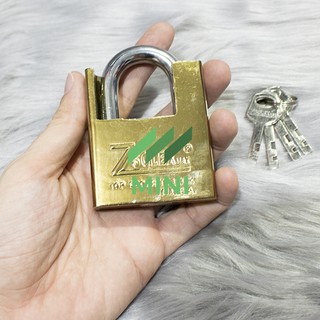 Ổ khóa chống cắt ZSolex