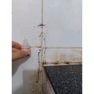 Thuốc Diệt Kiến Gián Tận Gốc CỰC HIỆU QUẢ