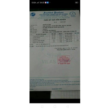 Bi lăn lẻ thảo dược Hoài Nguyễn