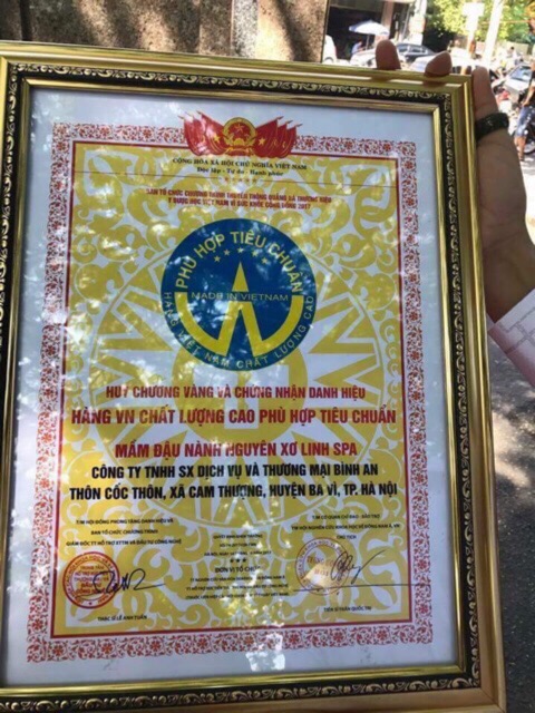 Mầm Đậu Nành Oganic Bình An Date Mới - Tăng Kích Cỡ Vòng 1 Siêu Tốc