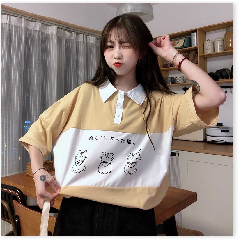 Áo thun nữ cổ bẻ form rộng tay lỡ mèo KUL