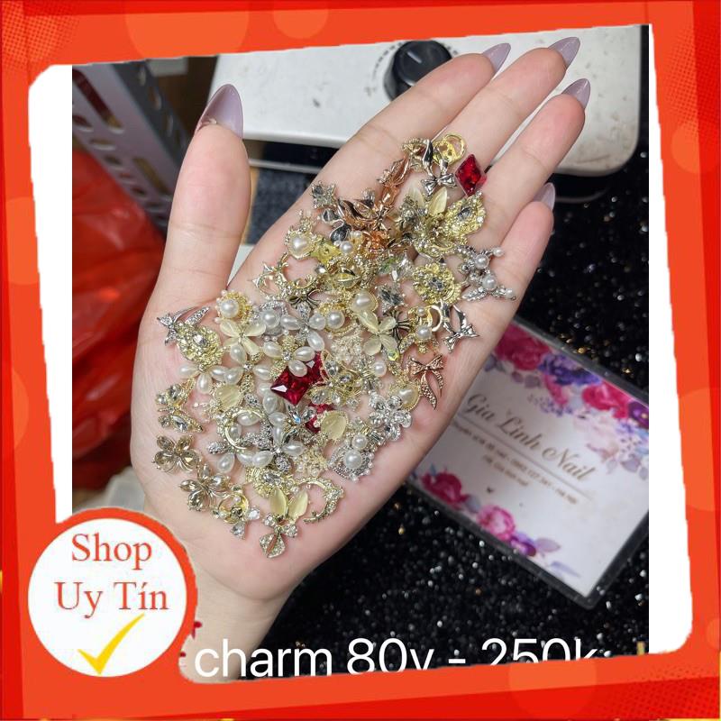 Charm gắn móng trang trí ( set 80v y hình )