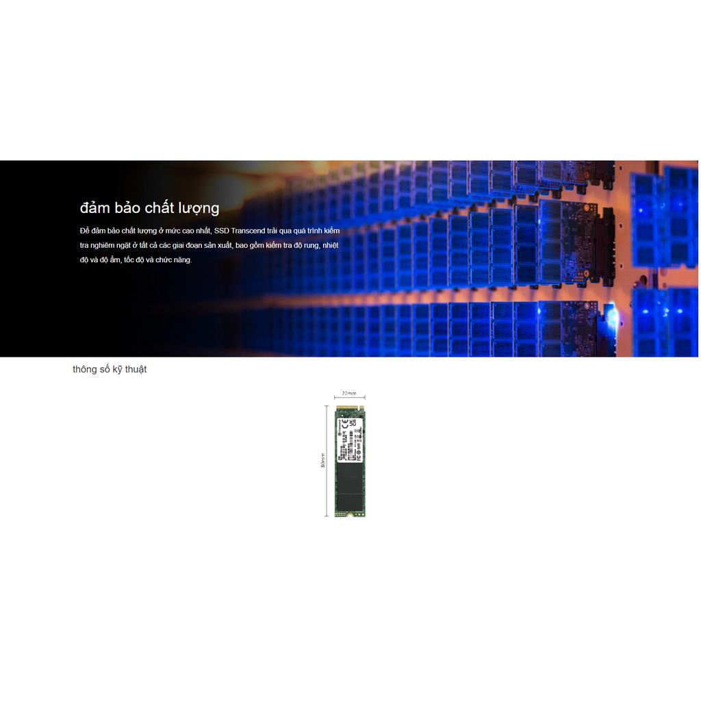 Ổ cứng SSD Transcend M.2 2280, Gen3x4, 3D TLC, up to 2,500/1,700 MB/s, DRAM-less, up to 800 TBW - Bảo hành 5 năm chính h