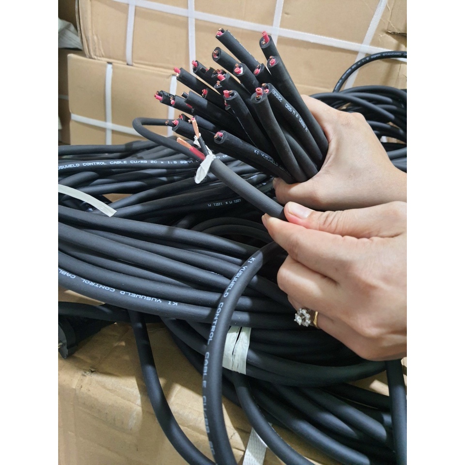 Dây nguồn HQ loại 1 bọc cao su 2*1.5 3 Mét cho máy đục, khoan bê tông