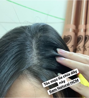 Tinh Dầu Mọc Tóc Sam Natural 100ml