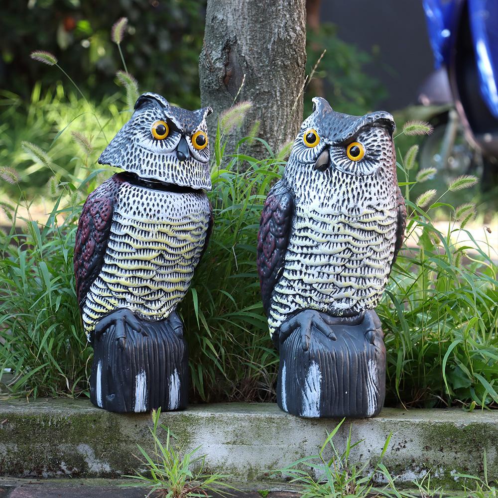 Cú Mèo Giải Trí Sống Động Như Thật Đuổi Chim Kiểm Soát Côn Trùng