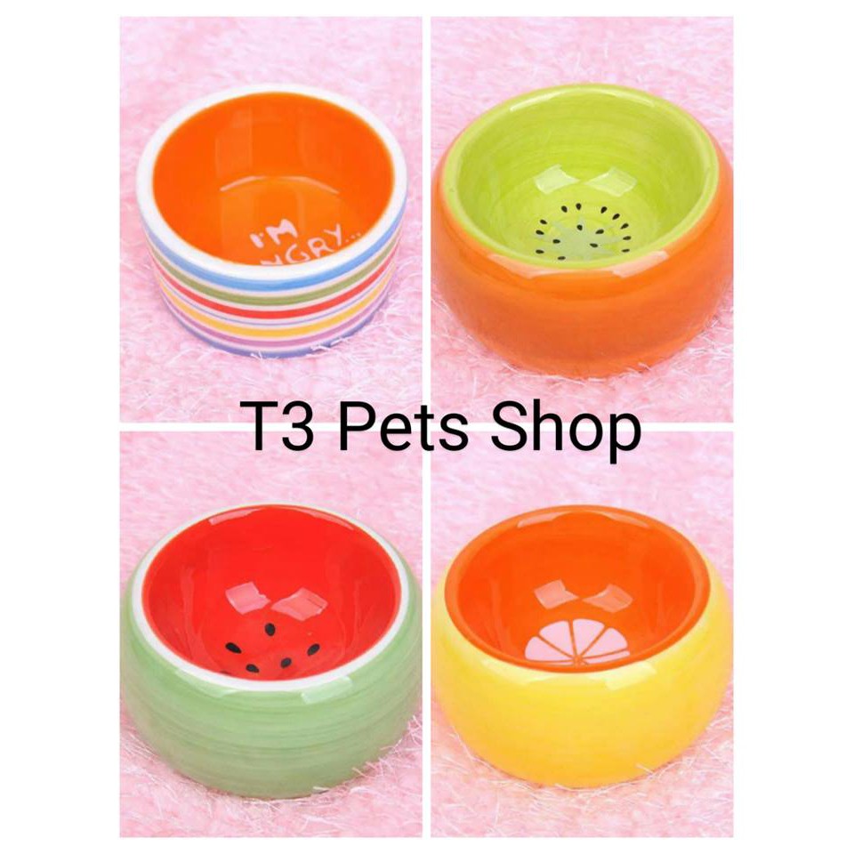 chén sứ nhỏ hình kiwi , cam , dưa hấu, vòm cho hamster
