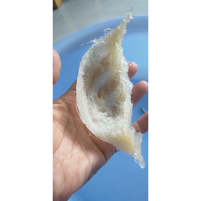 Yến Nguyên Tổ Khánh Hòa 100g Tổ Yến Nguyên Chất Cao Cấp Loại 1 Yến Sào Chuẩn Giá Mềm