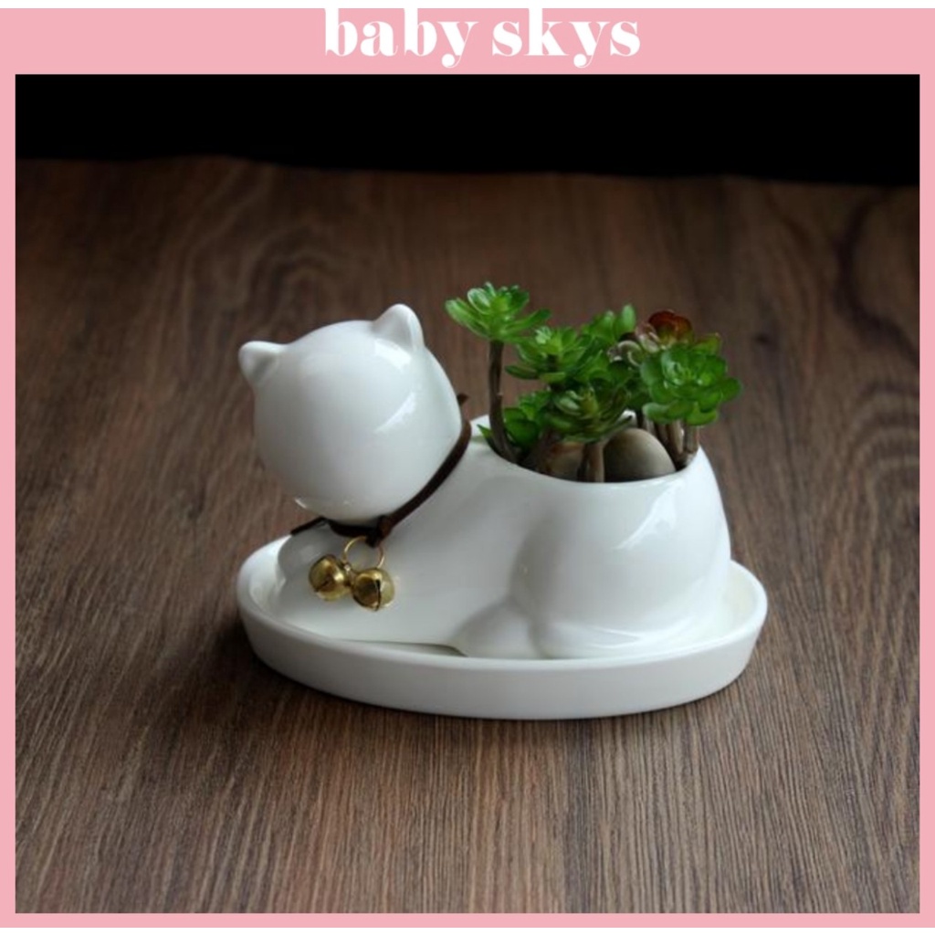 Chậu Trồng Cây Cảnh Mini Sen Đá Xương Rồng Hình Mèo Có Khay Lỗ Thoát Nước