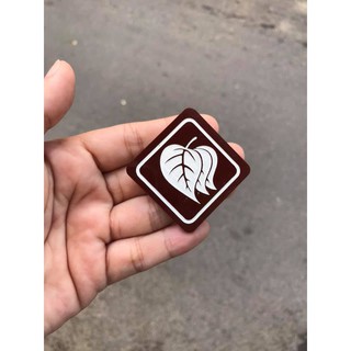 Bậc học ngành thanh GĐPT