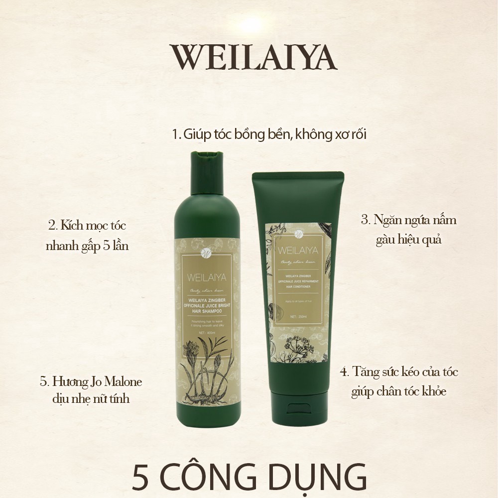 Dầu xả chống rụng kích mọc tóc gừng hà thủ ô WEILAIYA, dầu xả gừng nâu 250ml chính hãng