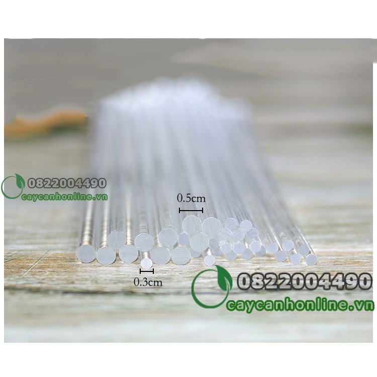 2 Que cắm phụ kiện tiểu cảnh dài 20cm trang trí terrarium