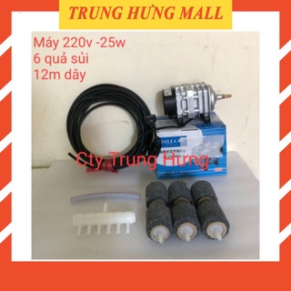 Máy sục sủi thổi khí oxy 220V-25w + 6 quả sủi + 12m dây.