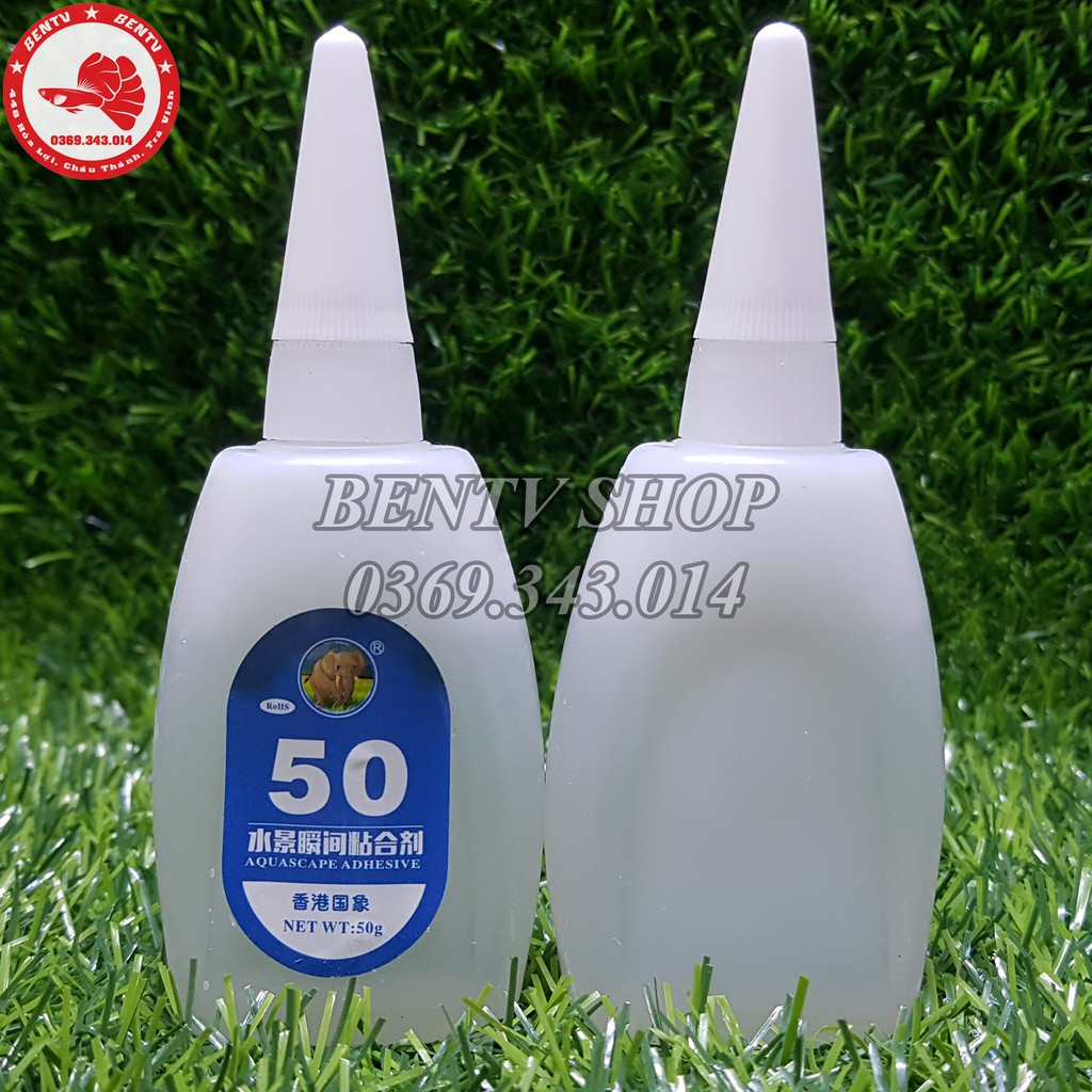 Keo Dán Rêu Ráy Lũa Thủy Sinh (50g)