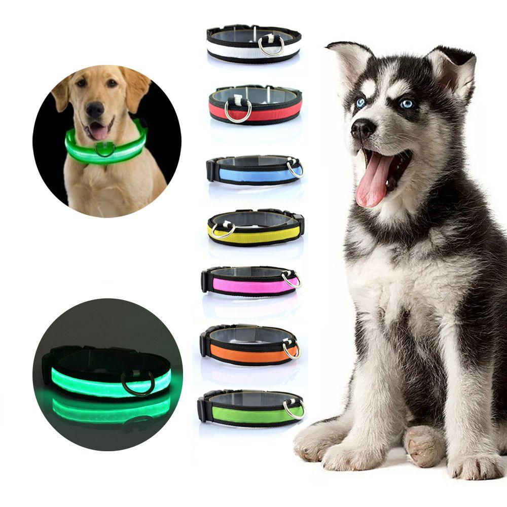 Vòng Cổ Nylon Dạ Quang Chống Nước An Toàn Cho Thú Cưng