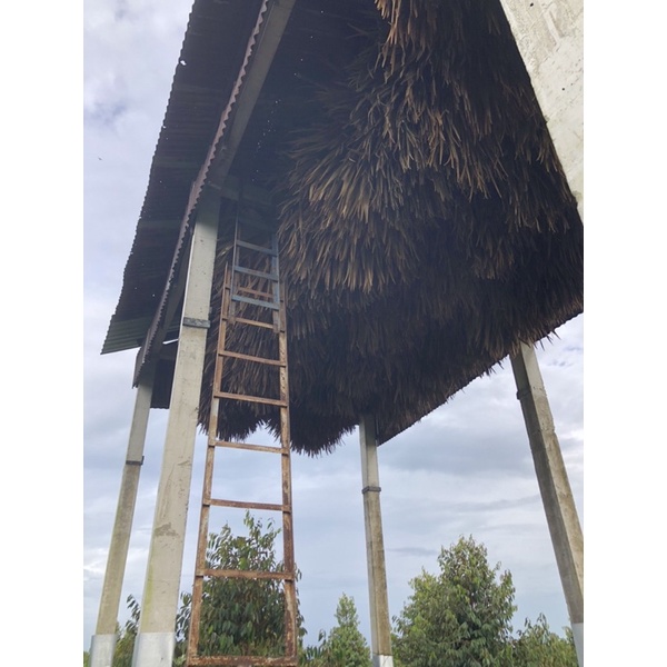 100gr Phân Dơi nguyên chất