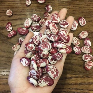 Đậu ngự khô Đà Lạt 1kg