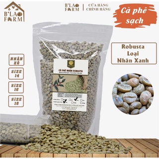 Cà Phê Sạch Nhân Sống ROBUSTAR, Hạt To chưa rang [Túi 1kg Nhân xanh]
