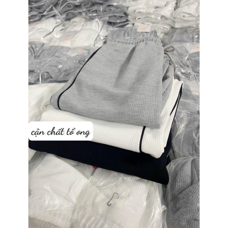 THEMEI 1992 SHOP Quần Jogger Chất Tổ Ong Chạy Viền - Quần Thể Thao Unisex Dày Dặn_Q088
