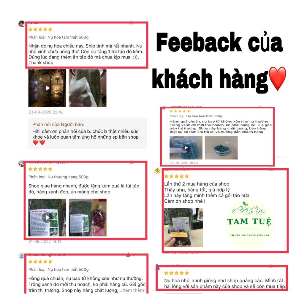 Nụ hoa tam thất bắc,nụ hoa tam thất bao tử Hà Giang,̣̣ dùng để pha trà giúp ngủ ngon ,Tốt cho sức khỏe