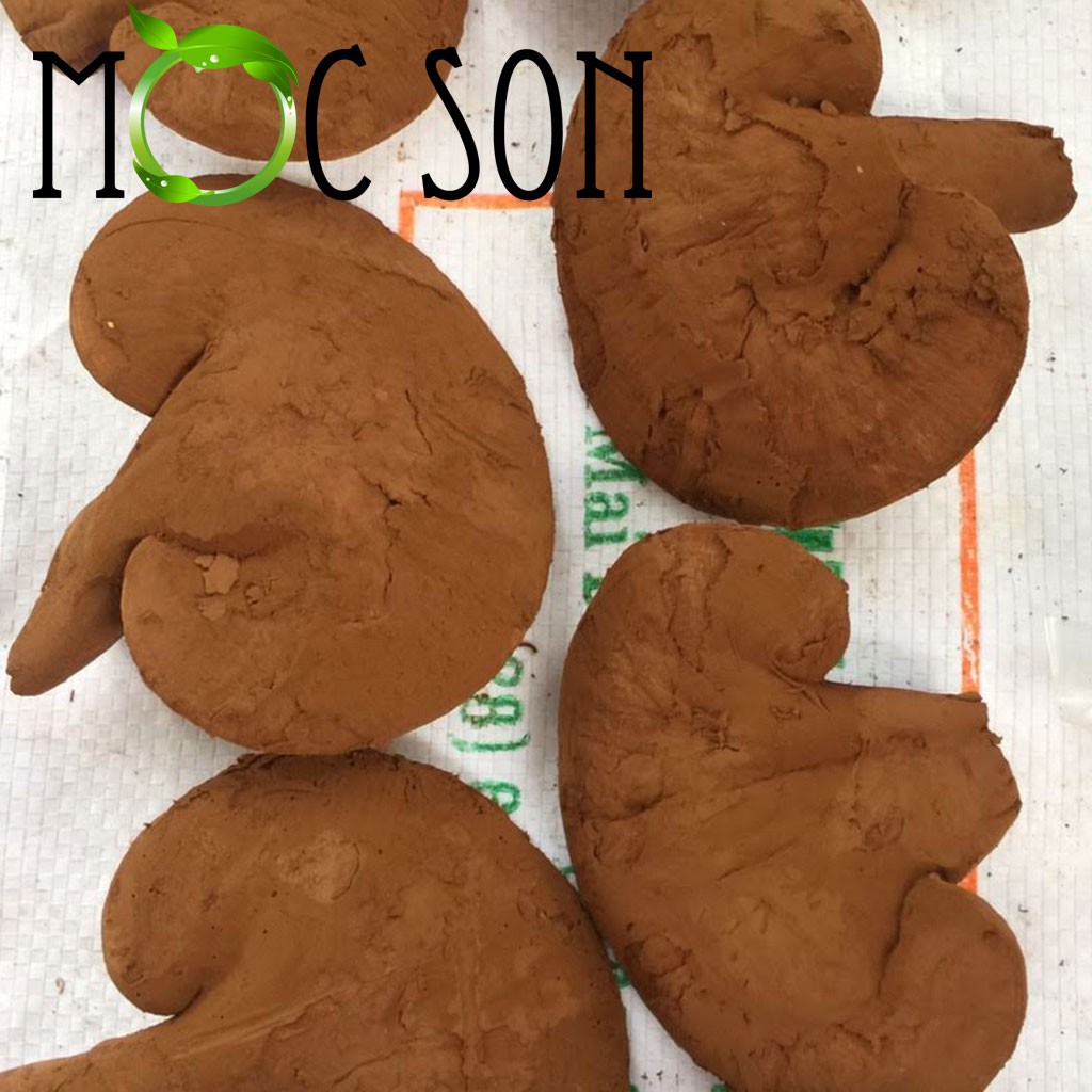 250G NẤM HỒNG CHI THƯỢNG HẠNG MỘC SƠN CÒN NGUYÊN BÀO TỬ
