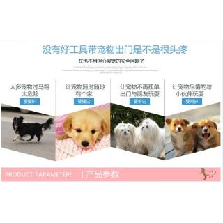 túi đeo trước ngực đựng thú cưng