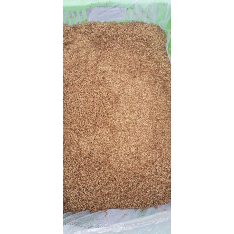 50g Vừng Vàng Sạch, Mè vàng rang sẵn [Loại 1, THƠM, NGON] hạt to đẹp mẩy | BigBuy360 - bigbuy360.vn