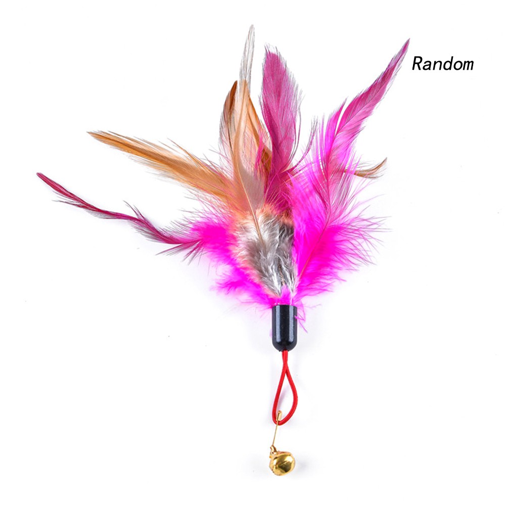 Đồ Chơi Lông Vũ Đáng Yêu Cho Mèo