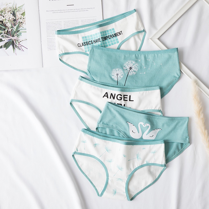 Set 5 quần lót nữ cotton NuciFera mẫu họa tiết Angel