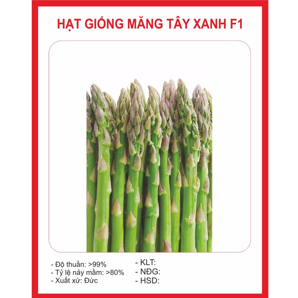 Hạt Giống Măng Tây Xanh 20 Hạt