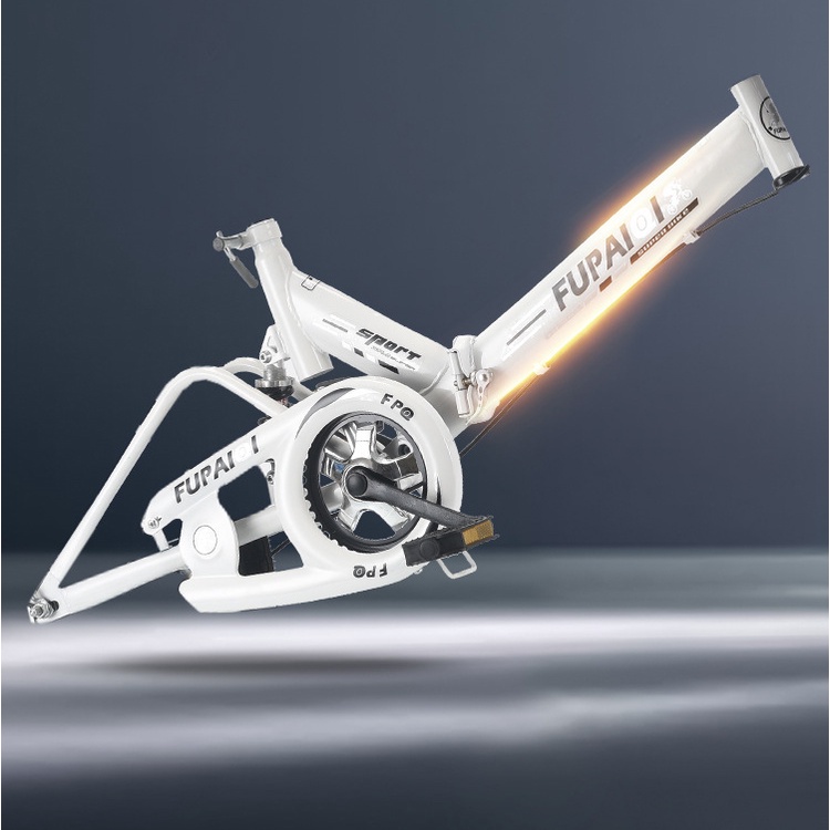 Xe đạp gấp gọn thể thao chính hãng cho cho gia đình