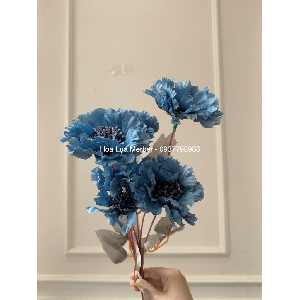Cành Hoa Phăng Hạt 6 Bông Gam Màu Khô Hàn Quốc Merber  - Trang Trí Decor Phòng, Chụp Ảnh