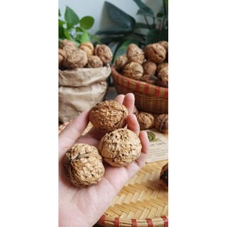 SIÊU RẺ ÓC CHÓ NẾP 500GR