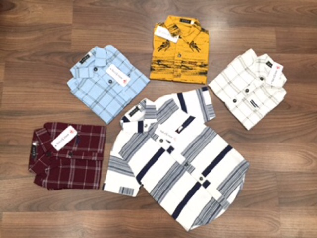 Combo 71: D1-35SP(C-HP) sỉ | BigBuy360 - bigbuy360.vn