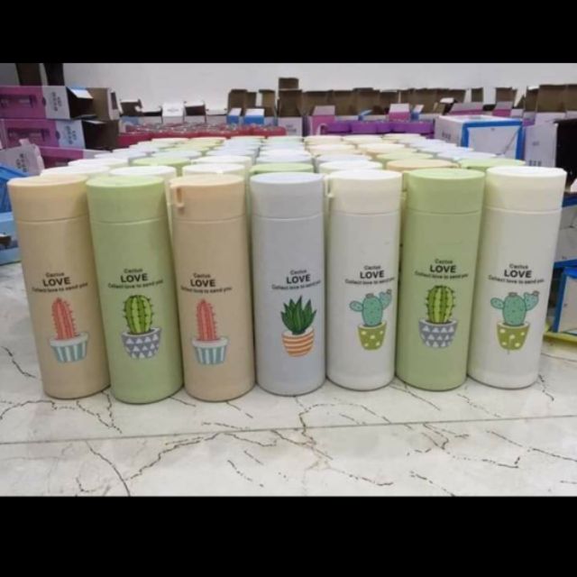 Bình nước in hình xương rồng nhiều màu | BigBuy360 - bigbuy360.vn
